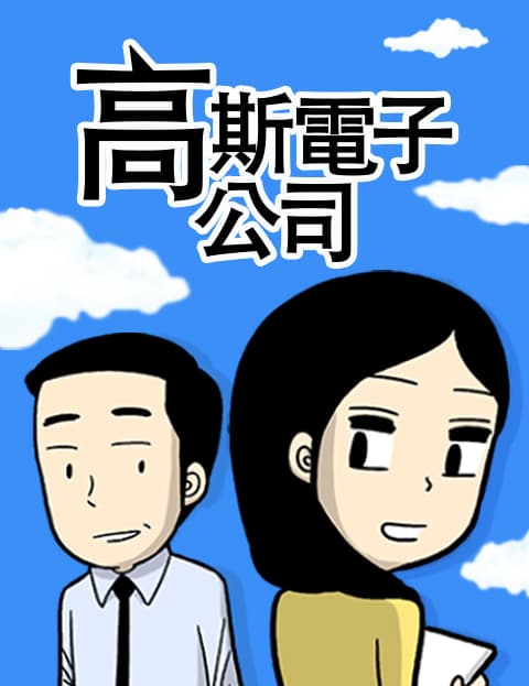 高斯电子公司