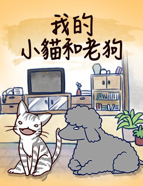 我的小猫和老狗