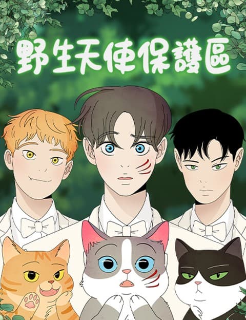 野生天使保护区