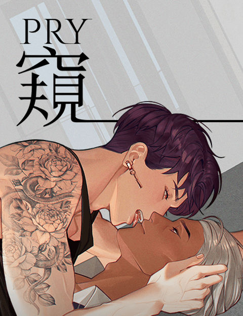 窥 Pry